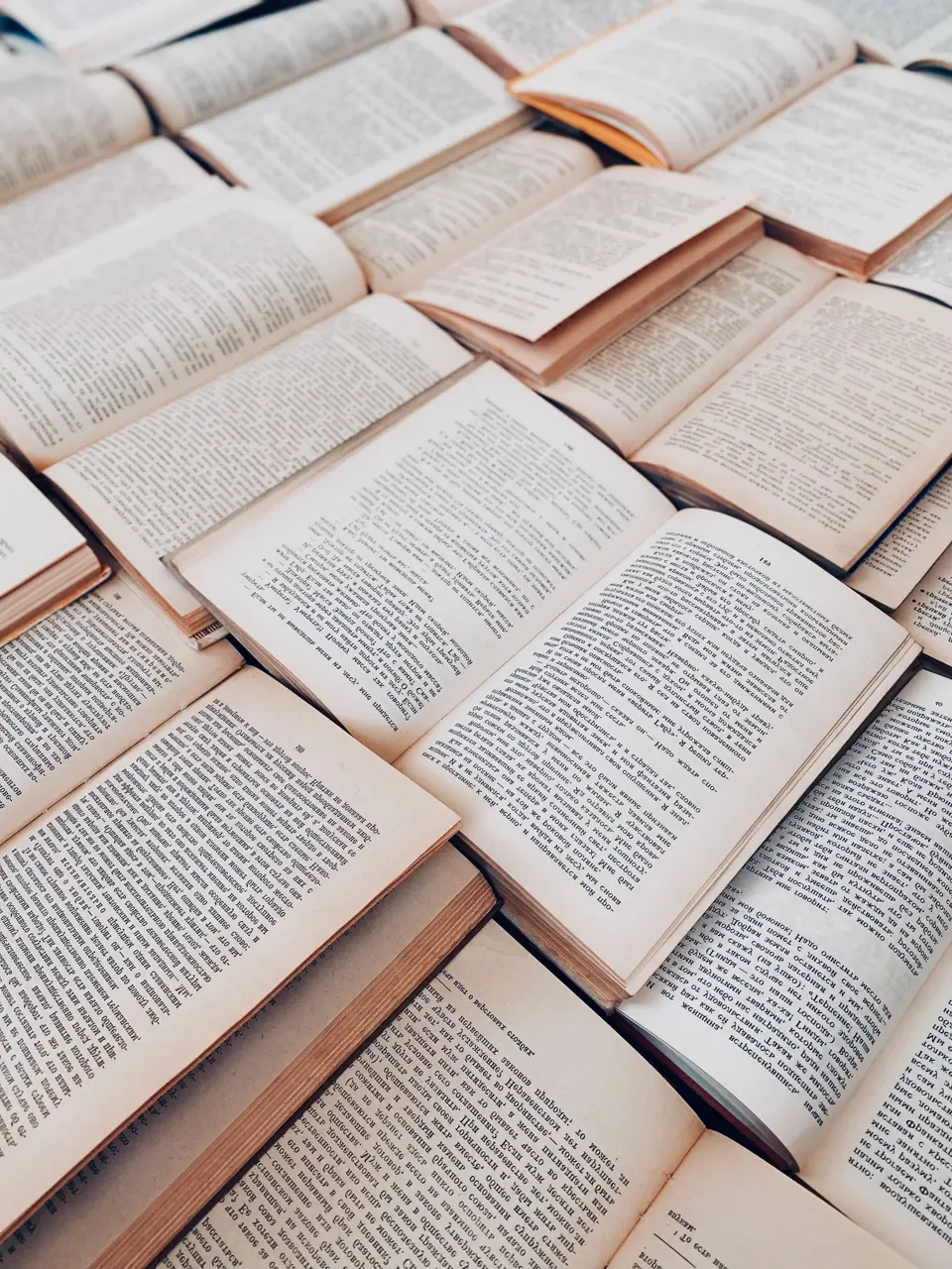 Offene Bücher: illustratives Foto ohne Bezug zu Anne Carsons Büchern.