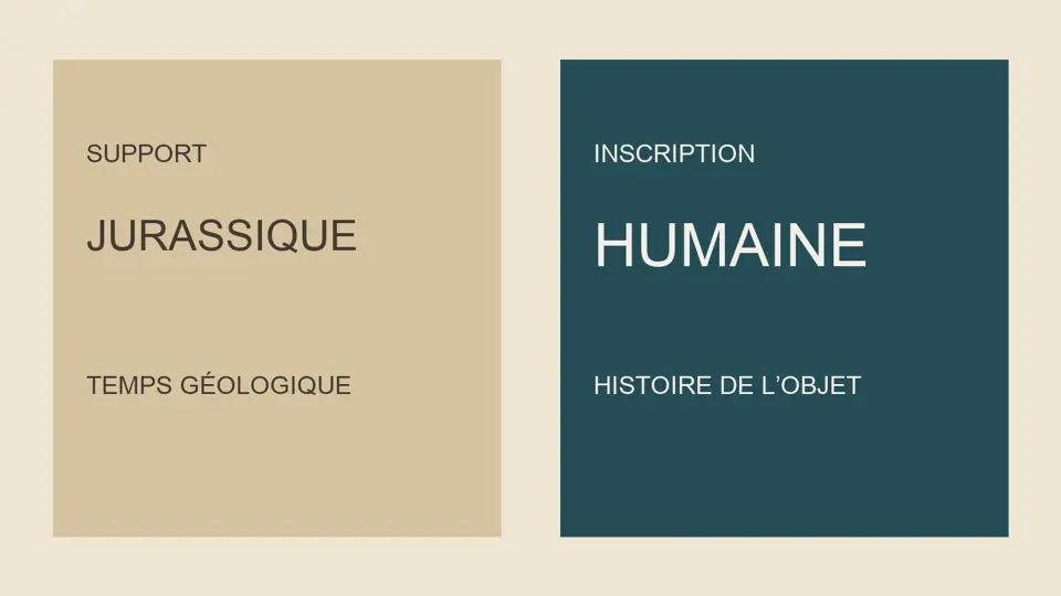 Visuale tipografica originale che distingue il supporto giurassico e l’iscrizione umana; non riproduce il fossile.