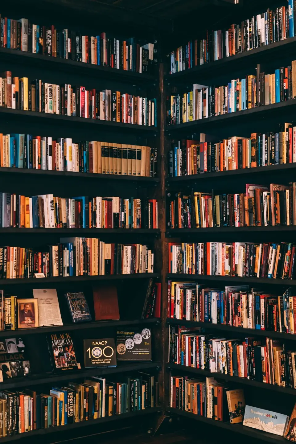 Scaffali di libri in una foto illustrativa del 2019, estranea alla biblioteca di Laroui o al libro di Zaoui.