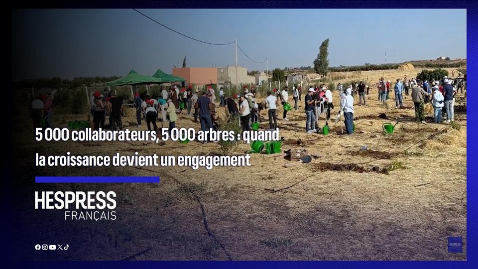 غرس 25 ألف شجرة: الالتزام المعلن والنتائج التي تستحق المتابعة