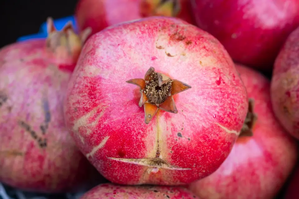 Close-up pomegranates, an illustrative photo not identified as a Berkane harvest.